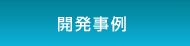 開発事例